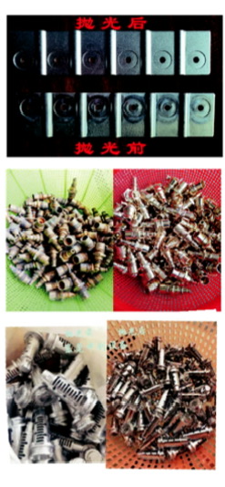 微信图片_20260128134734_53_3.jpg